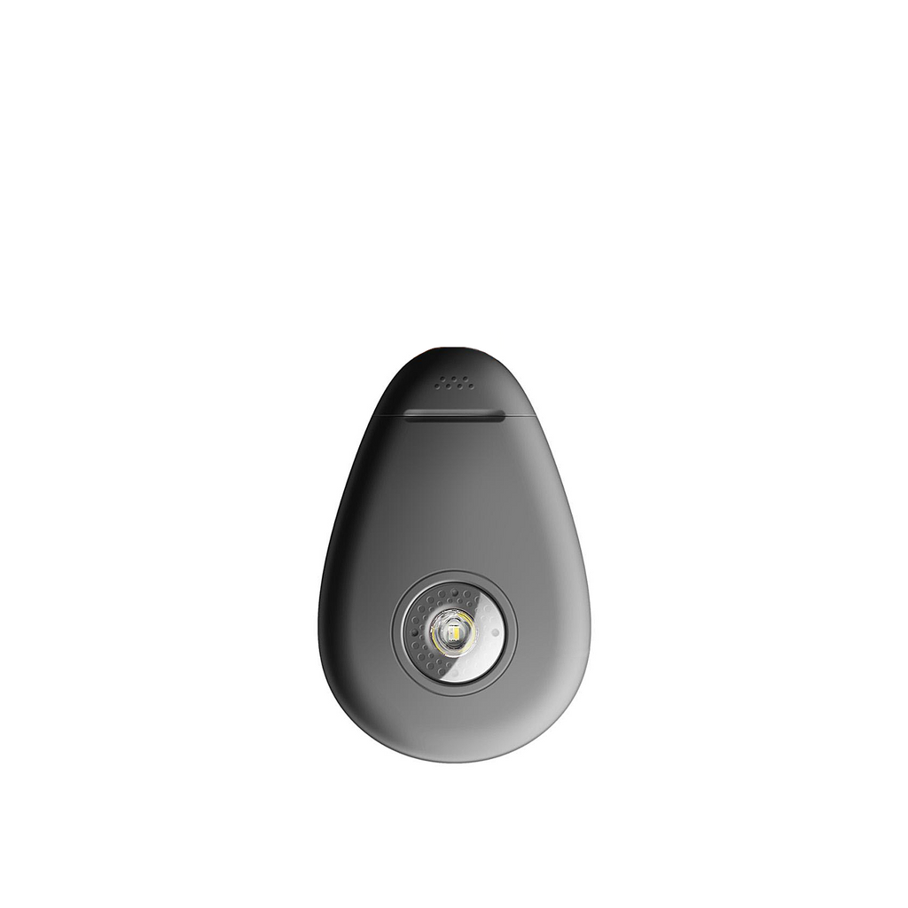 AirPebble Guardian